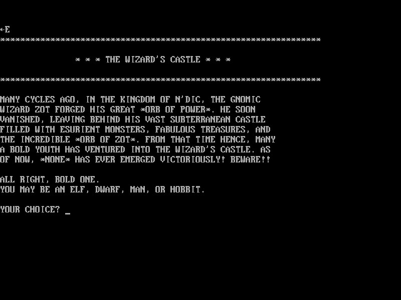 The Wizard's Castle